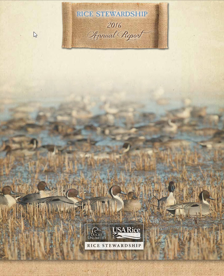 Rice Stewardship Annual Report