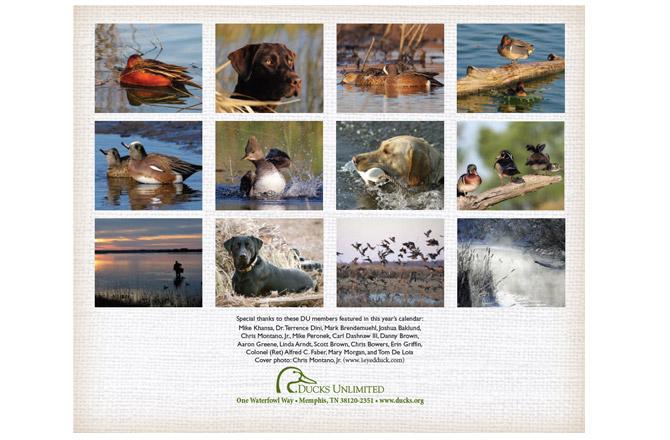 Wisconsin Ducks Unlimited Calendar Printable Template Calendar