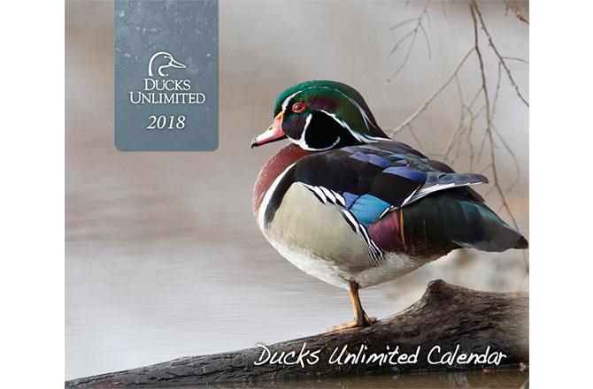 2018 DU Calendar