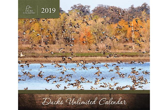 2019 DU Calendar