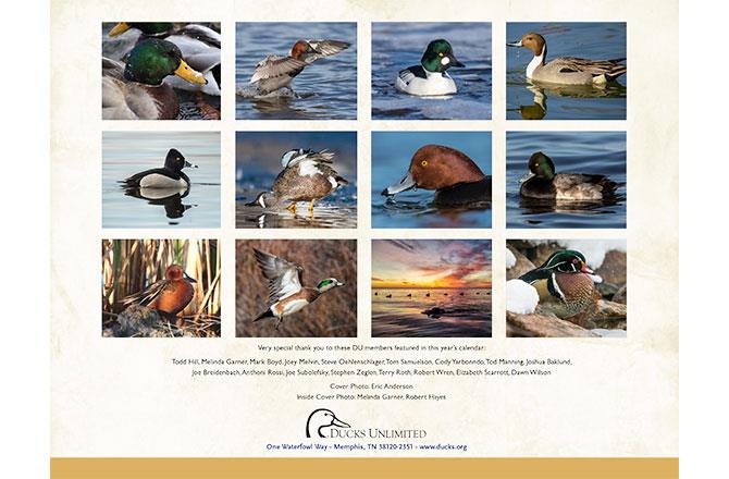 2021 Ducks Unlimited Calendar Calendar Page