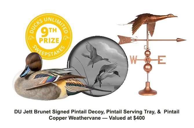Ducks Unlimited Sweepstakes ducks-unlimited-sweepstakes