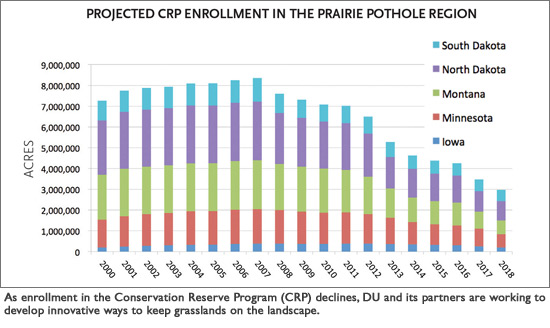 Projected CRP Enrollment in the Prairie Pothole Region bar graph